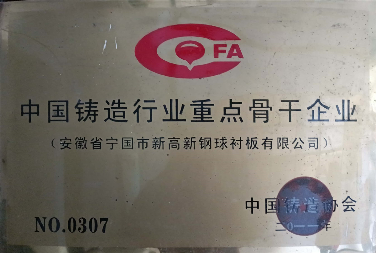Key backbone enterprises in China's foundry industry